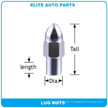 Bullet Mag Lug Nuts pour voiture